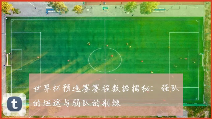 世界杯预选赛赛程数据揭秘：强队的坦途与弱队的荆棘