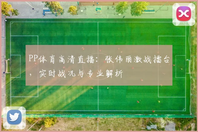 PP体育高清直播：张伟丽激战擂台，实时战况与专业解析