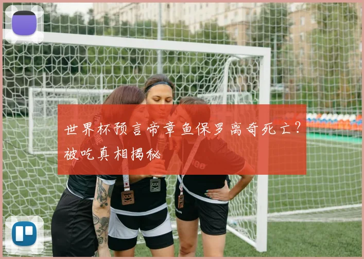 世界杯预言帝章鱼保罗离奇死亡?被吃真相揭秘
