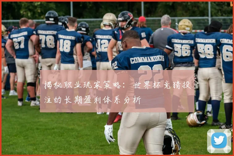 揭秘职业玩家策略：世界杯竞猜投注的长期盈利体系分析