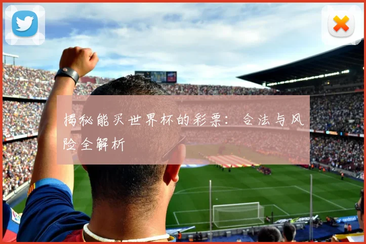 揭秘能买世界杯的彩票:合法与风险全解析