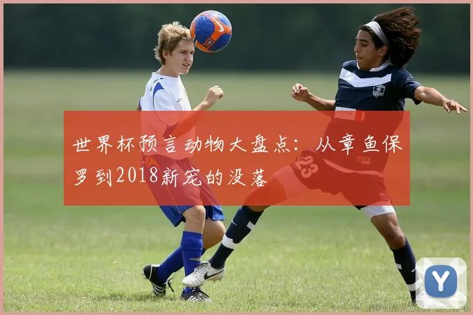 世界杯预言动物大盘点：从章鱼保罗到2018新宠的没落