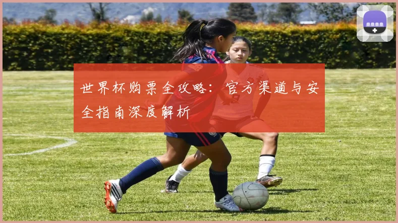 世界杯购票全攻略：官方渠道与安全指南深度解析